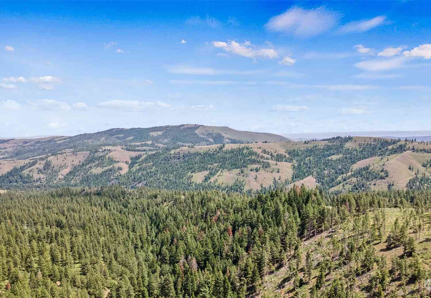 Nasty Creek, Yakima, Washington image 1