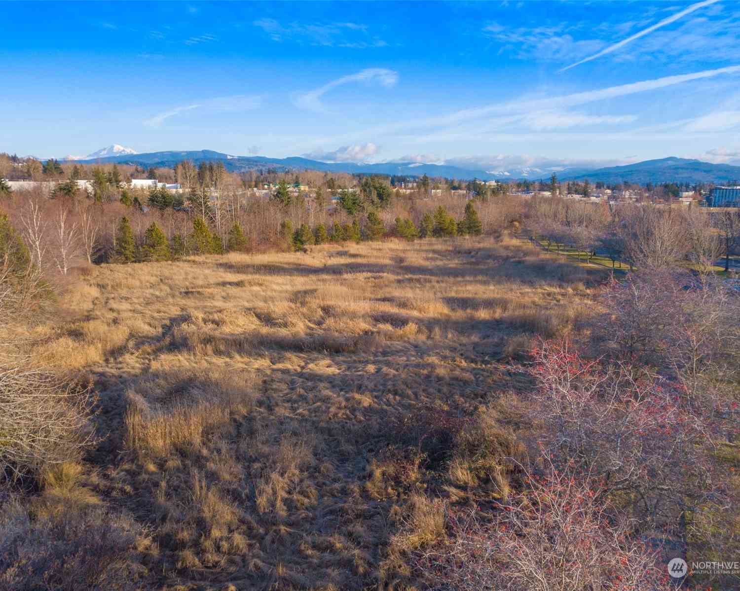 42 XX Cordata Parkway, Bellingham, Washington image 3