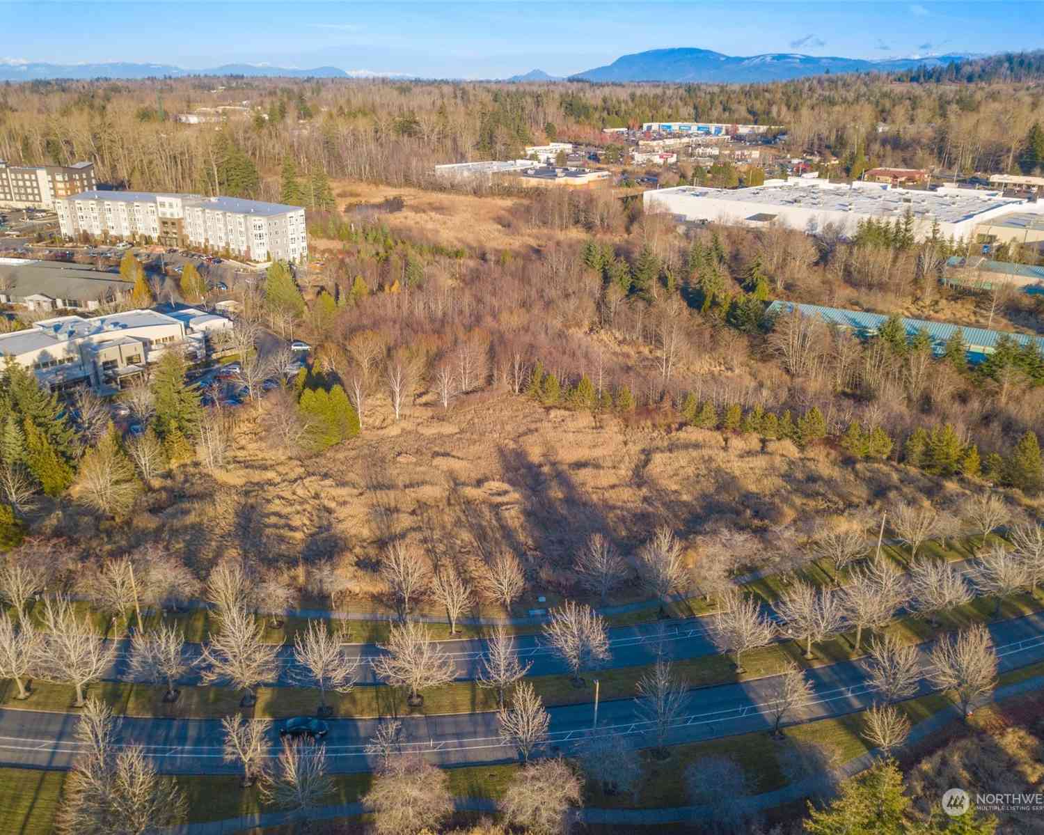 42 XX Cordata Parkway, Bellingham, Washington image 4