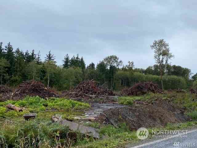 Anderson Road, Blaine, Washington image 1