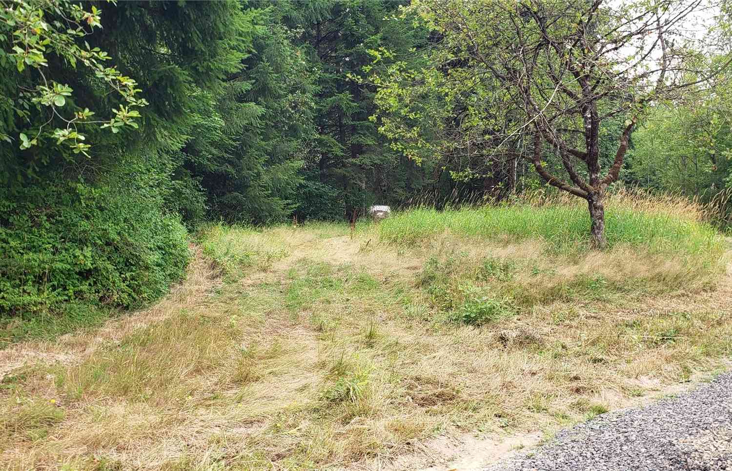 196 Lot 2 Jensen Road, Onalaska, Washington image 18