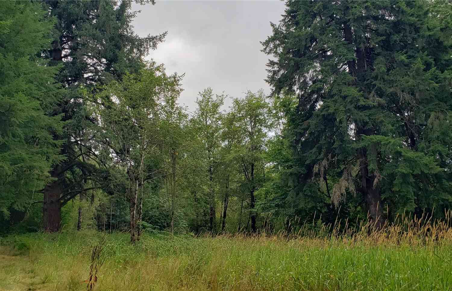 196 Lot 2 Jensen Road, Onalaska, Washington image 36