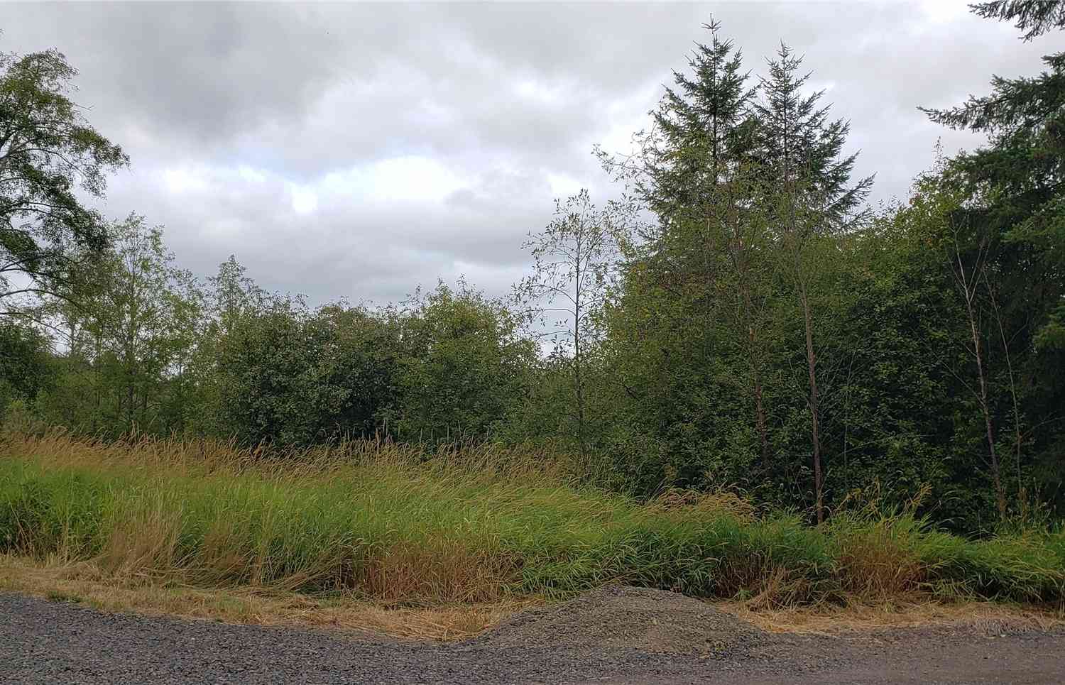 196 Lot 2 Jensen Road, Onalaska, Washington image 14