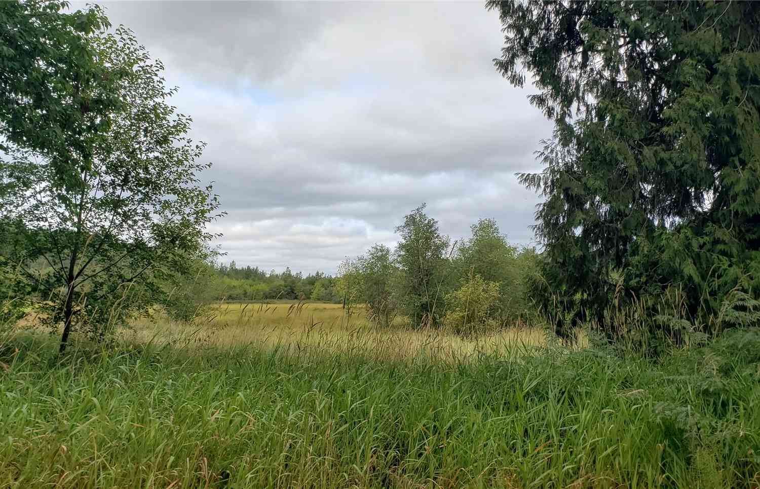 196 Lot 2 Jensen Road, Onalaska, Washington image 21