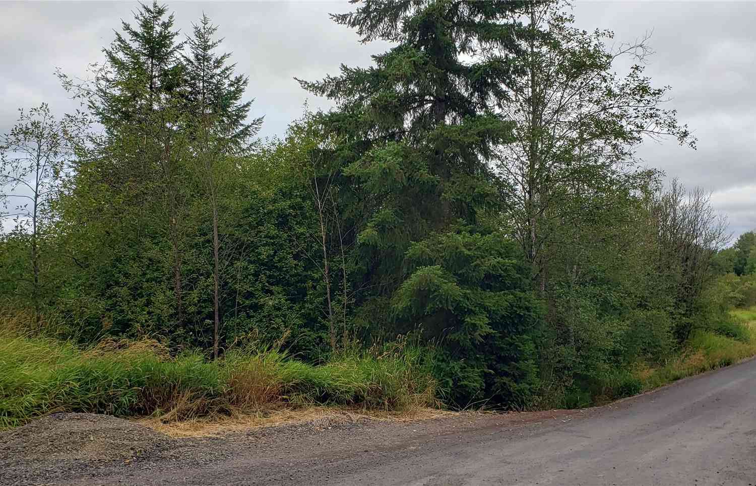 196 Lot 2 Jensen Road, Onalaska, Washington image 12