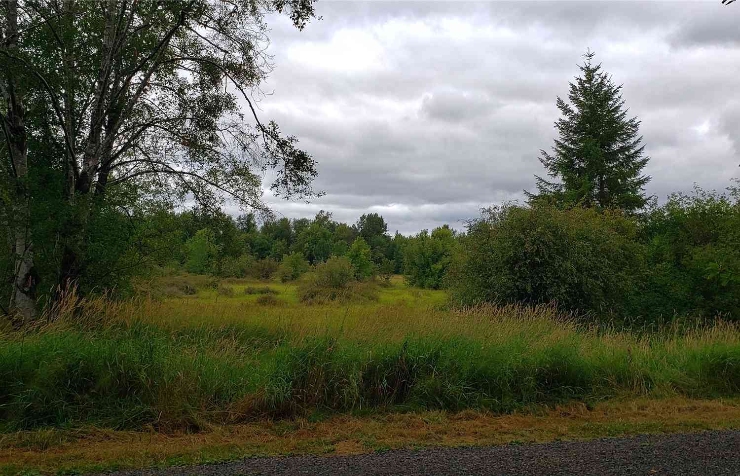 196 Lot 2 Jensen Road, Onalaska, Washington image 16