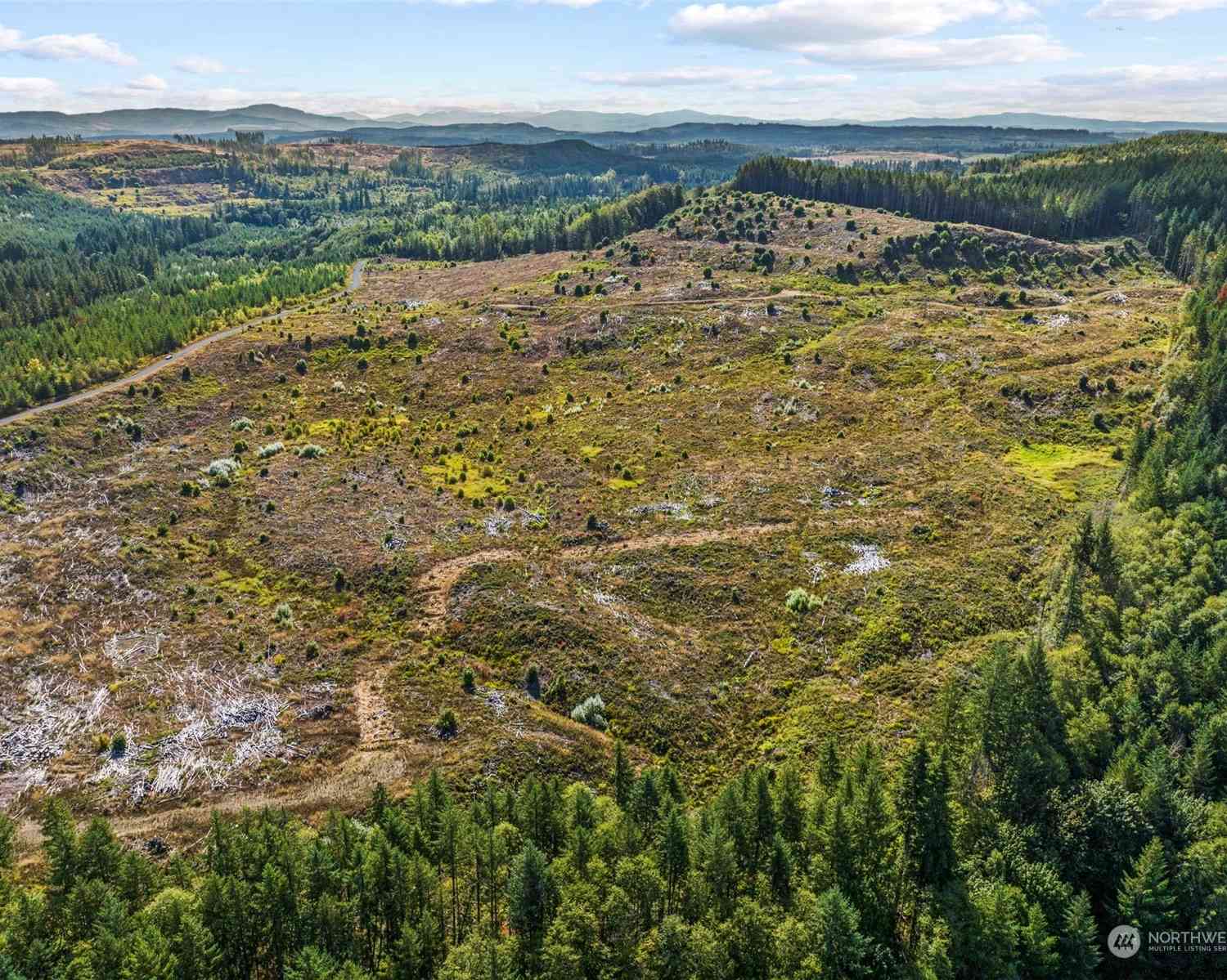 Salmon Creek Road, Toledo, Washington image 4