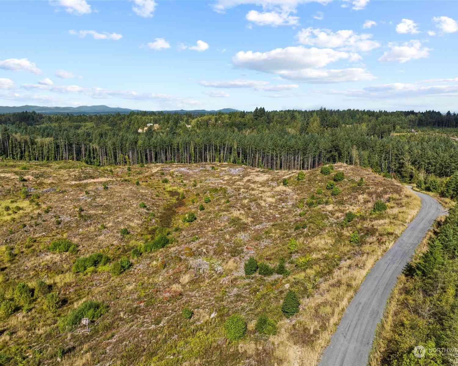 Salmon Creek Road, Toledo, Washington image 1