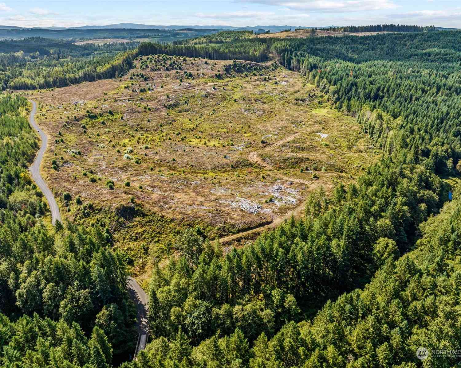 Salmon Creek Road, Toledo, Washington image 2