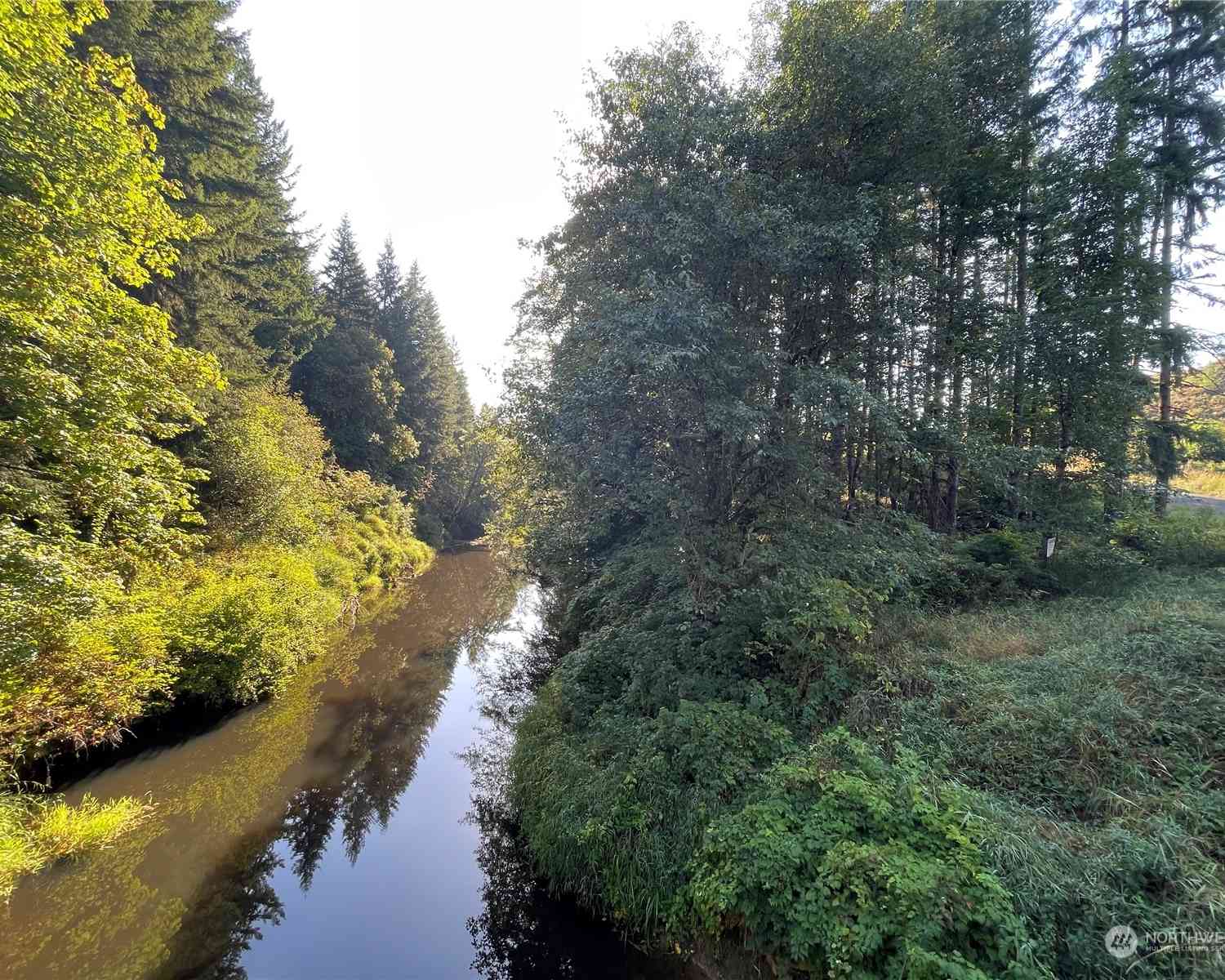 Salmon Creek Road, Toledo, Washington image 15