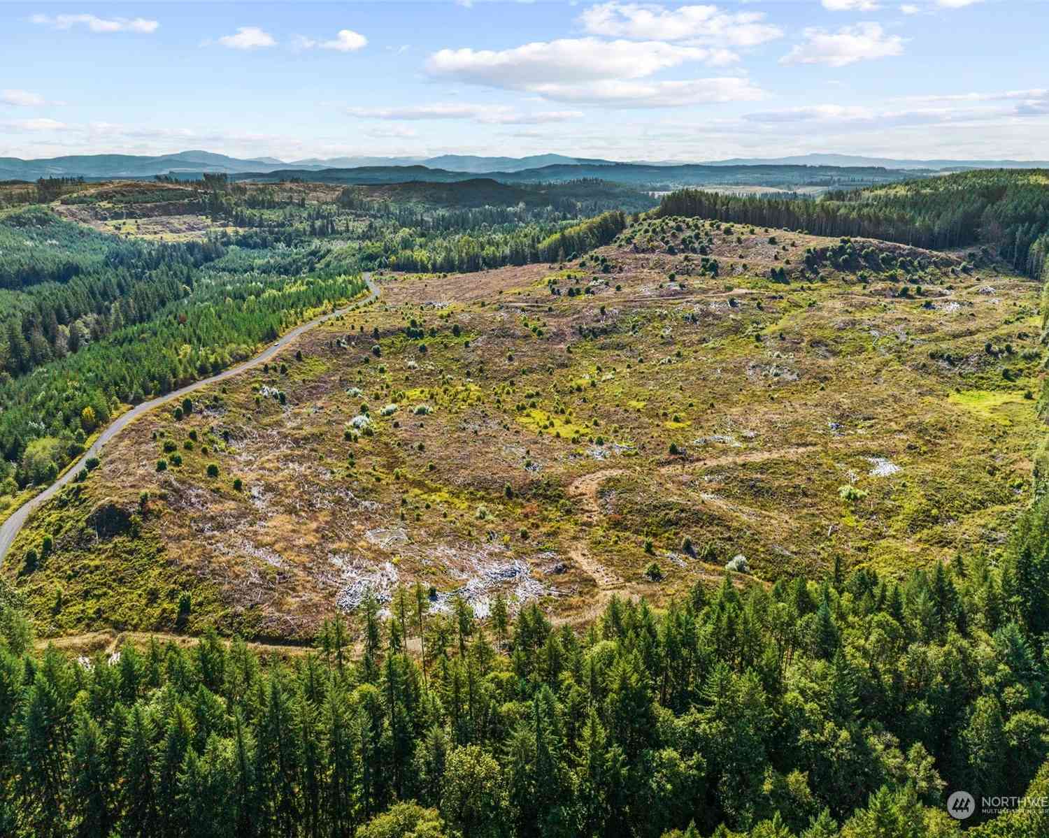 Salmon Creek Road, Toledo, Washington image 7