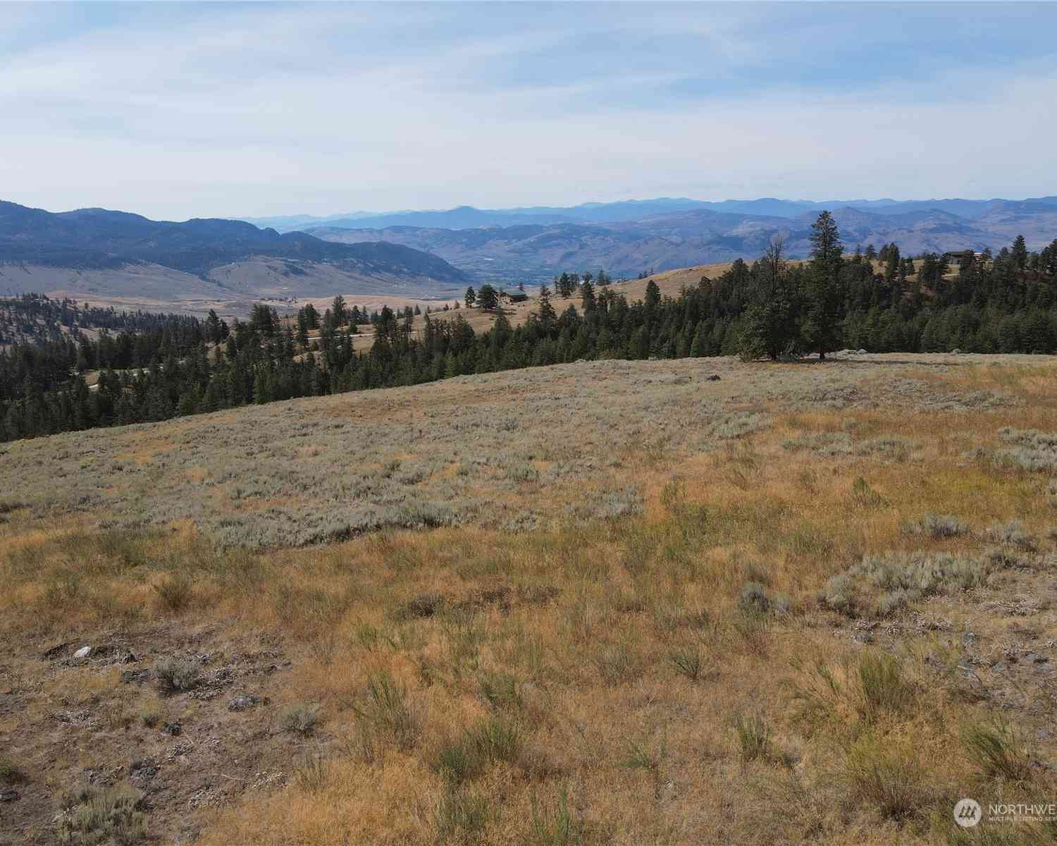 0 LOT 49 Canam Road #49, Oroville, Washington image 2