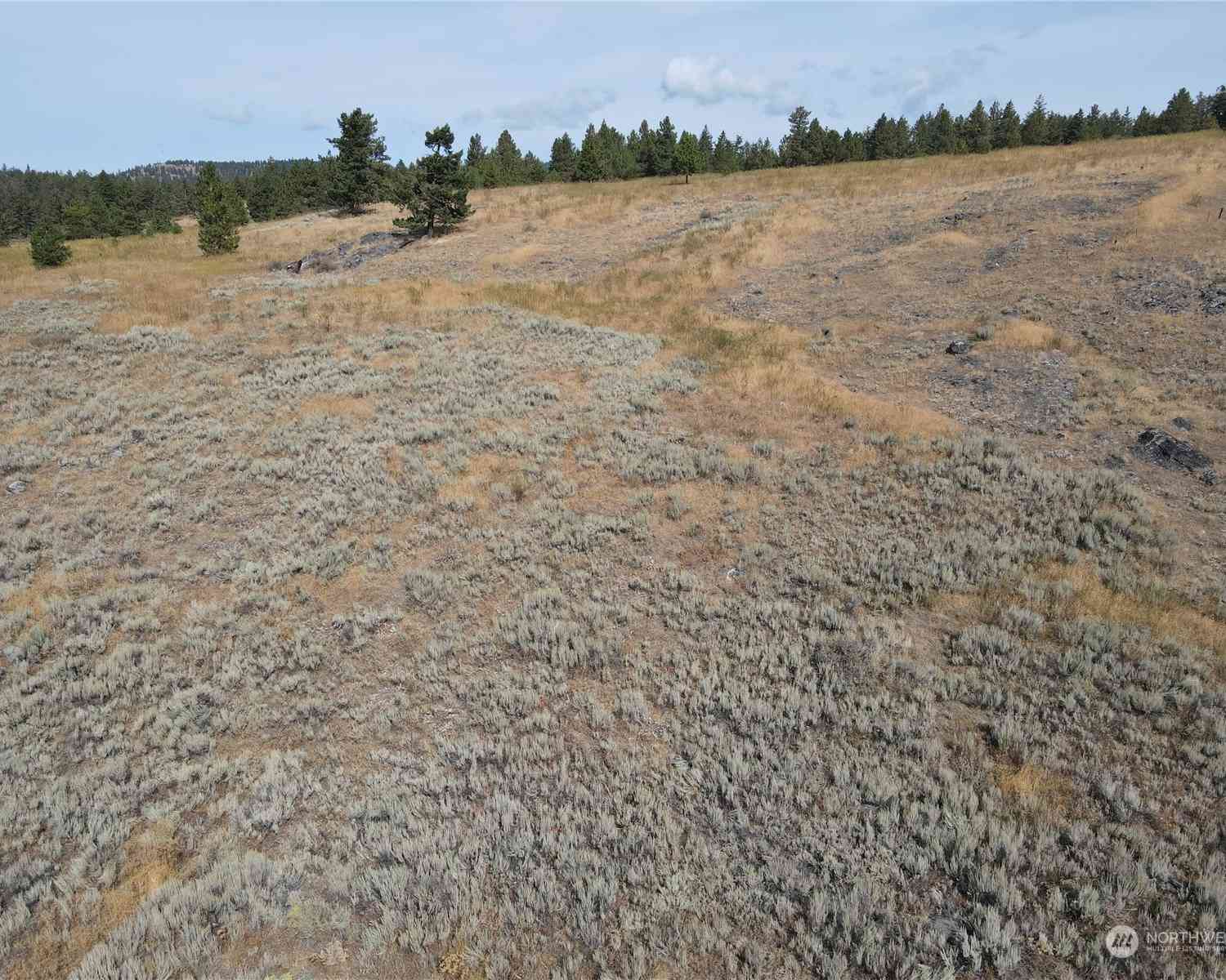 0 LOT 49 Canam Road #49, Oroville, Washington image 16