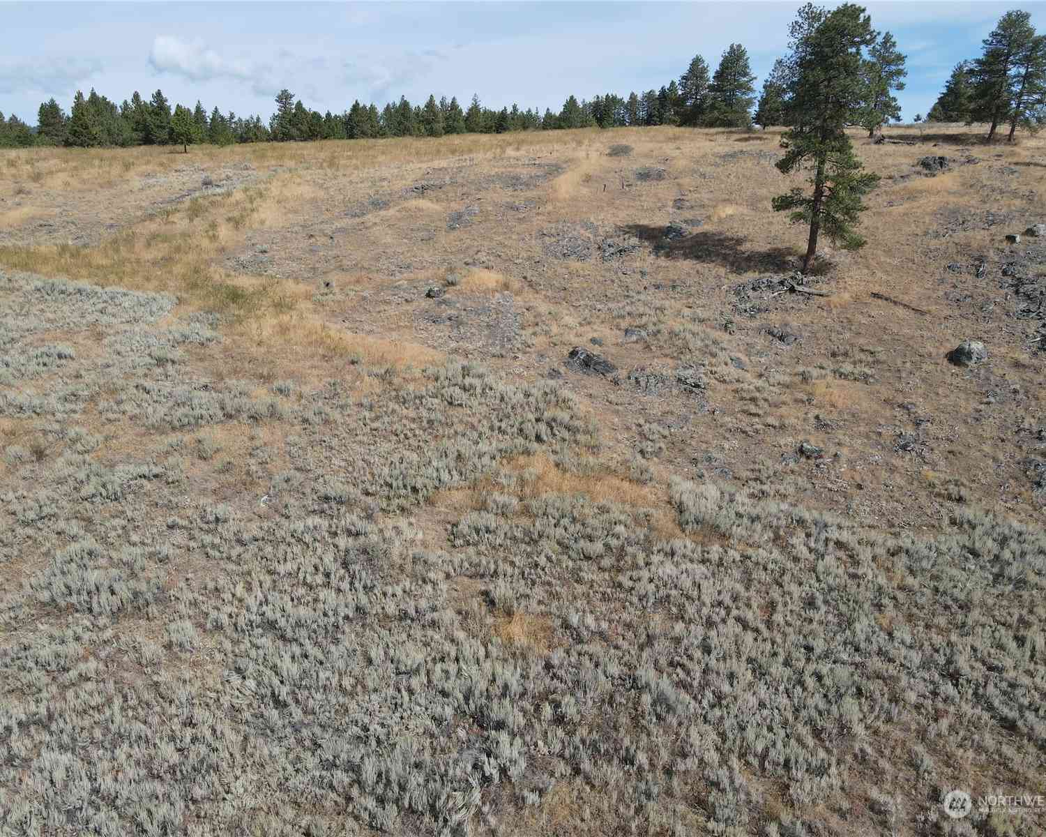 0 LOT 49 Canam Road #49, Oroville, Washington image 17