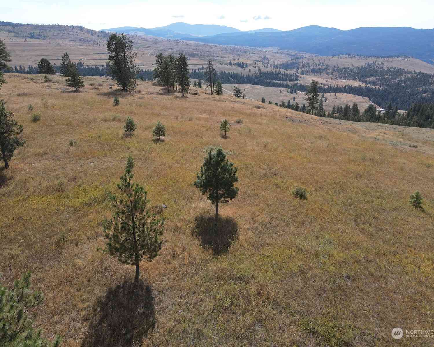 0 LOT 49 Canam Road #49, Oroville, Washington image 9