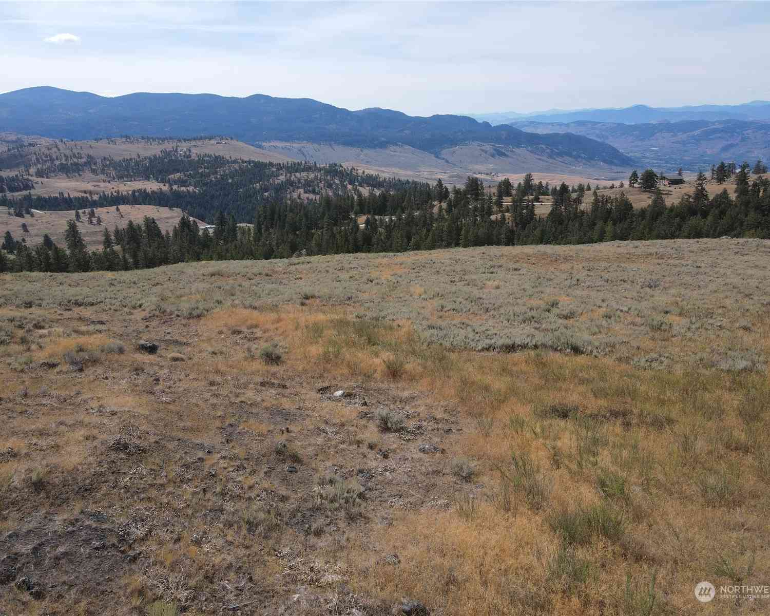 0 LOT 49 Canam Road #49, Oroville, Washington image 3