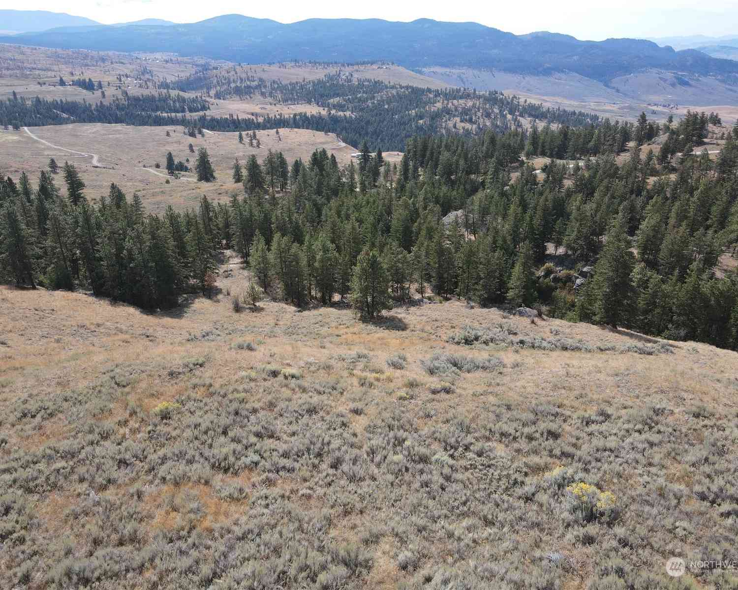 0 LOT 49 Canam Road #49, Oroville, Washington image 11