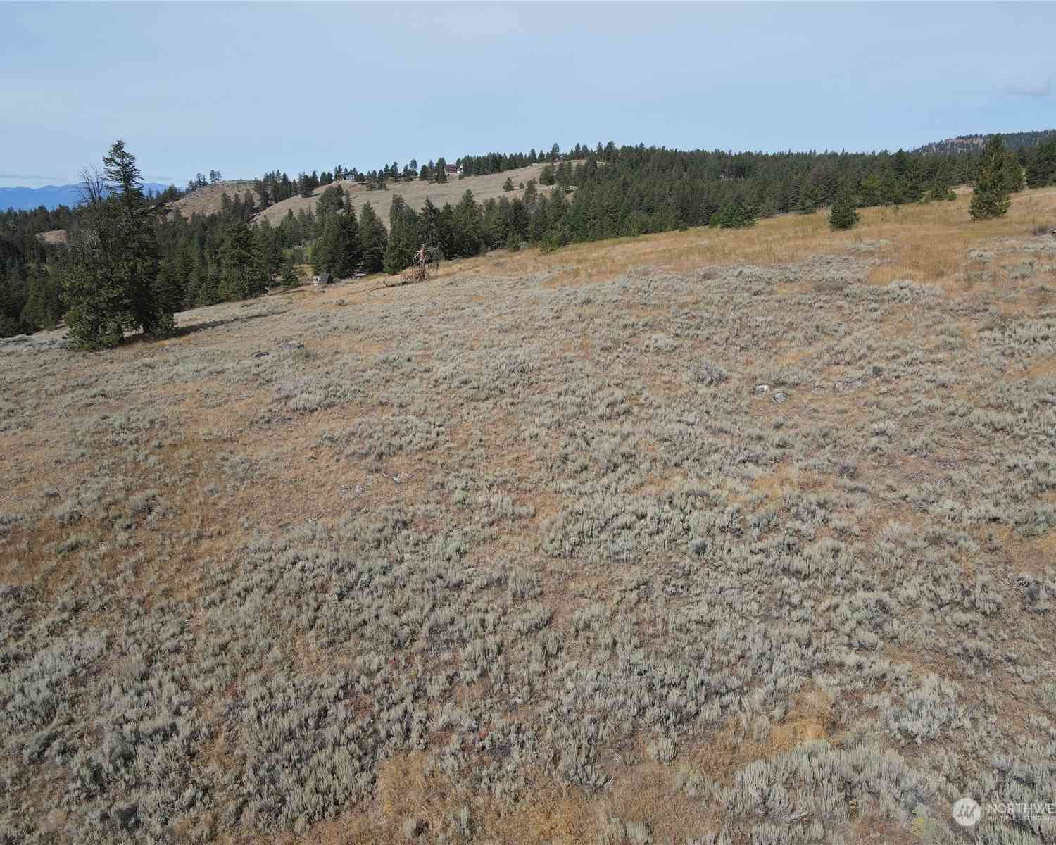 0 LOT 49 Canam Road #49, Oroville, Washington image 15