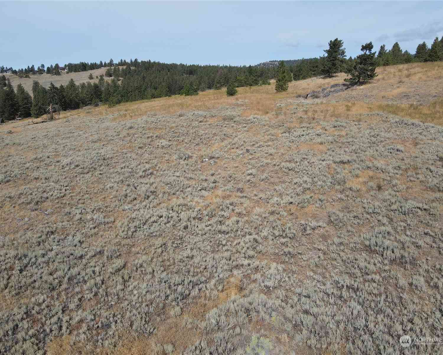 0 LOT 49 Canam Road #49, Oroville, Washington image 14