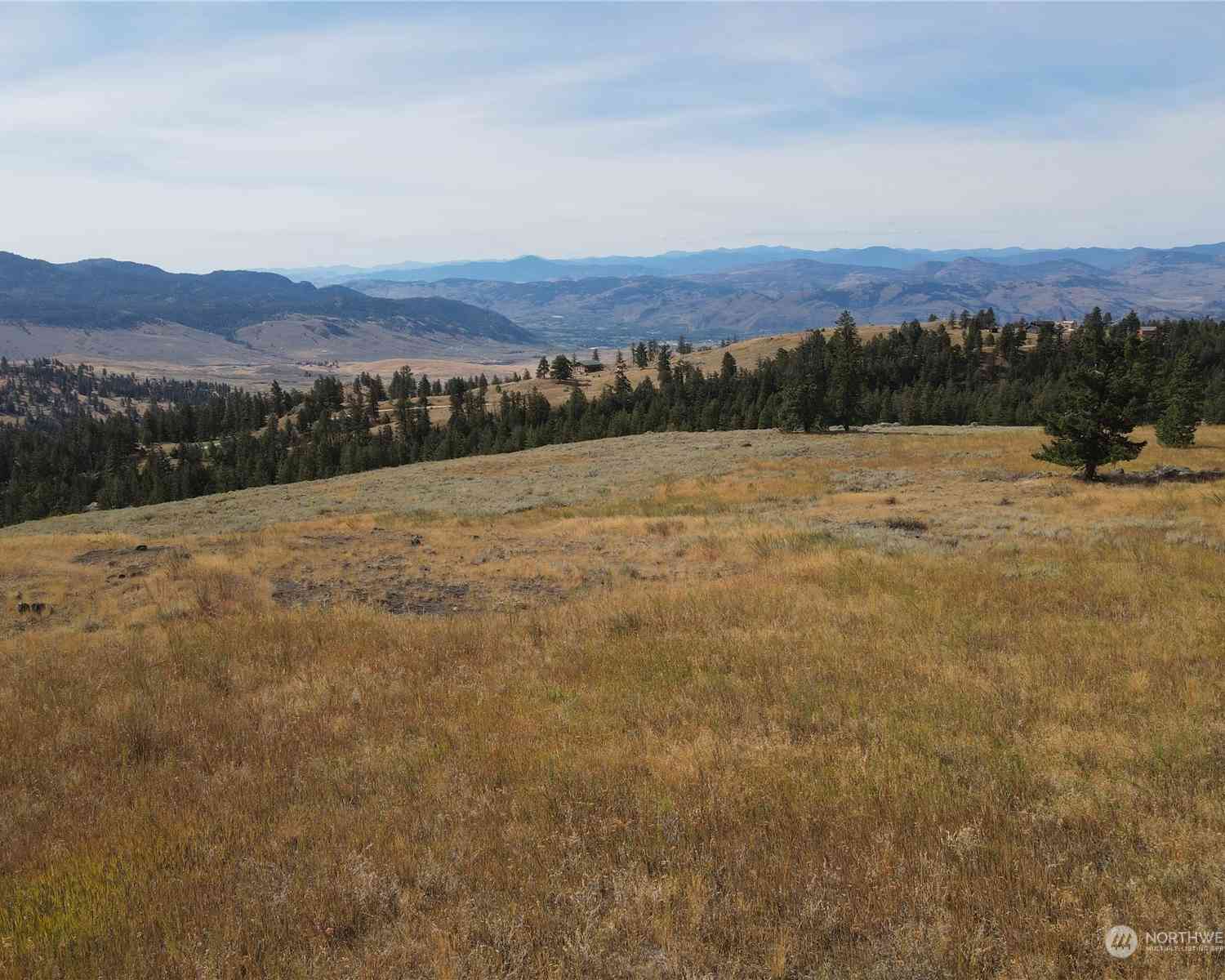 0 LOT 49 Canam Road #49, Oroville, Washington image 1