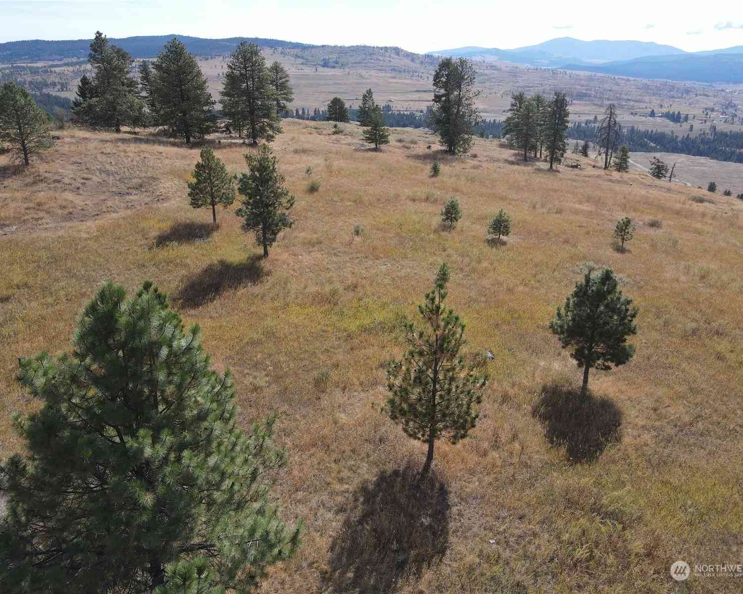 0 LOT 49 Canam Road #49, Oroville, Washington image 10