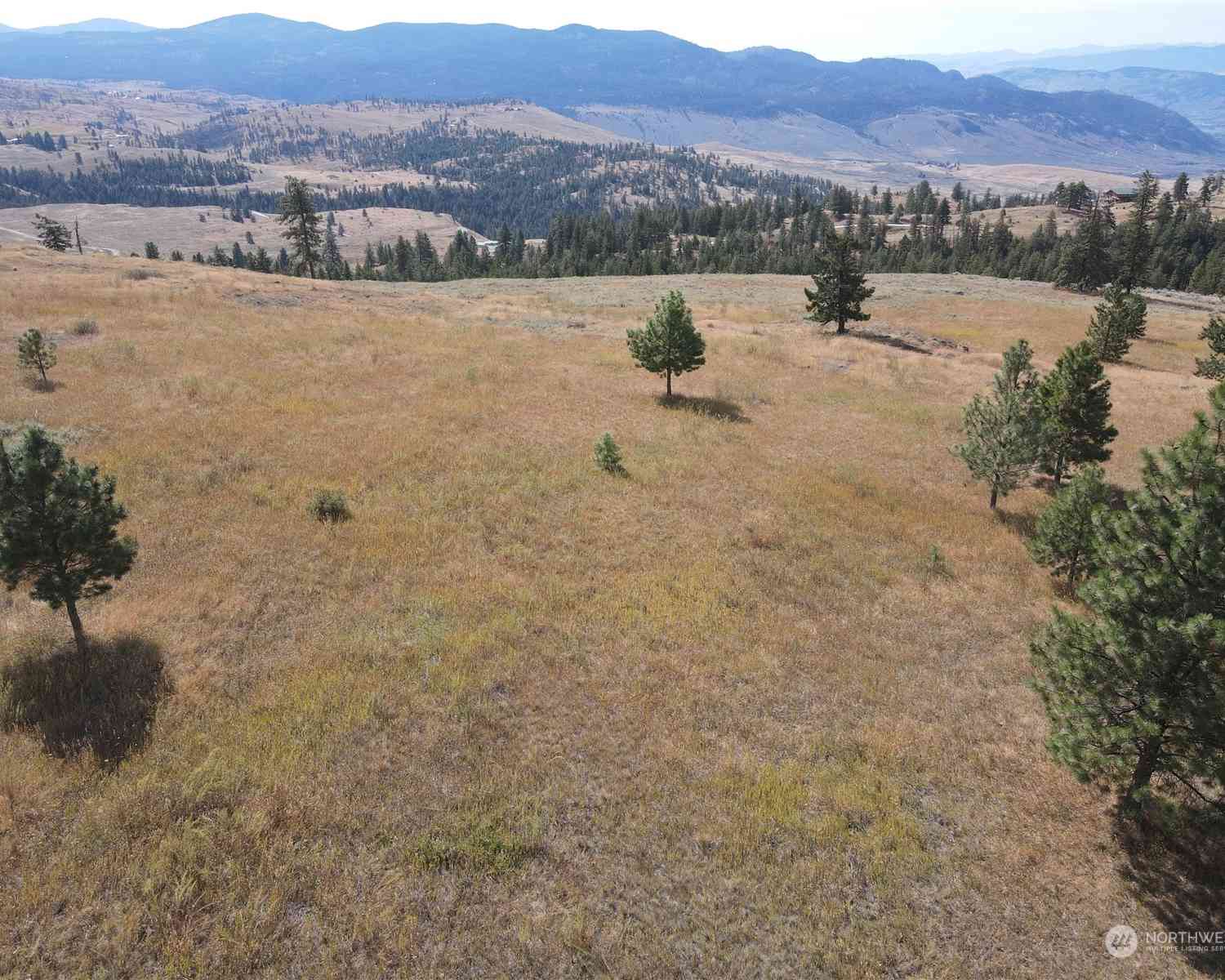 0 LOT 49 Canam Road #49, Oroville, Washington image 8