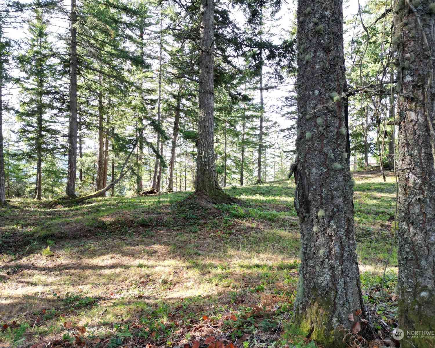 4334 Samish Crest Drive, Bellingham, Washington image 11