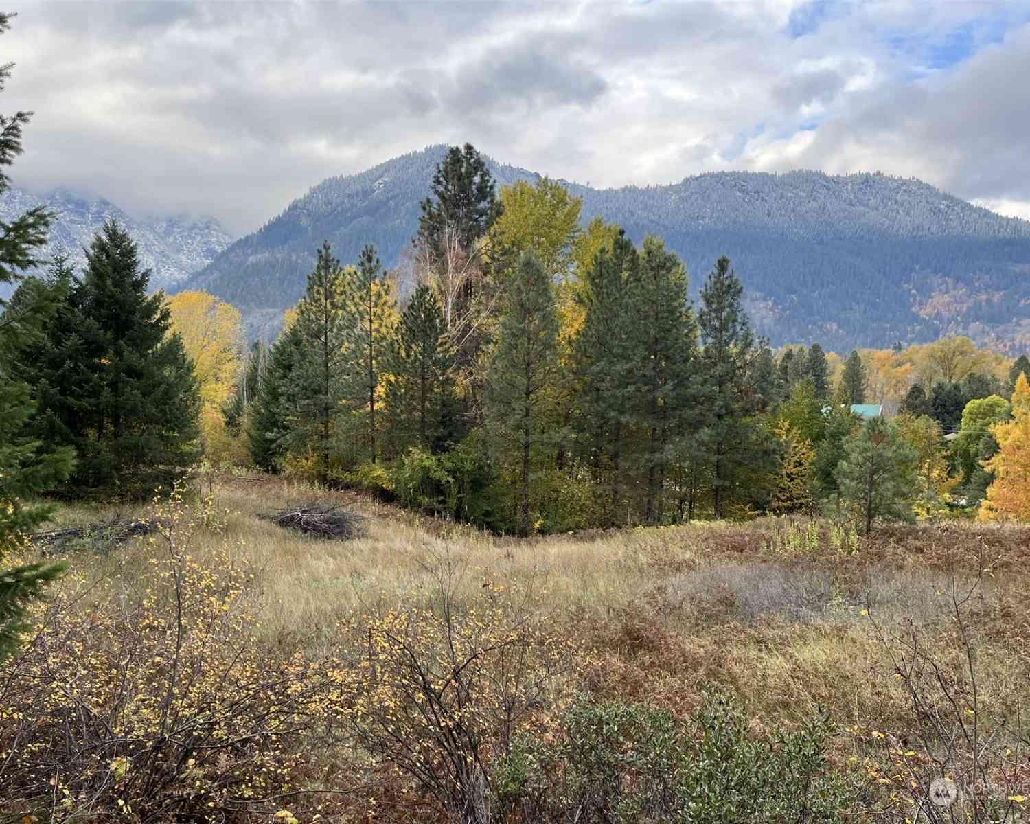 Embroden, Leavenworth, Washington image 4