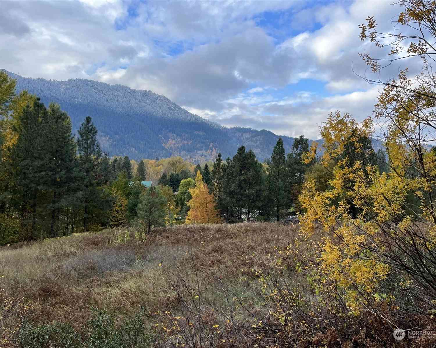 Embroden, Leavenworth, Washington image 3