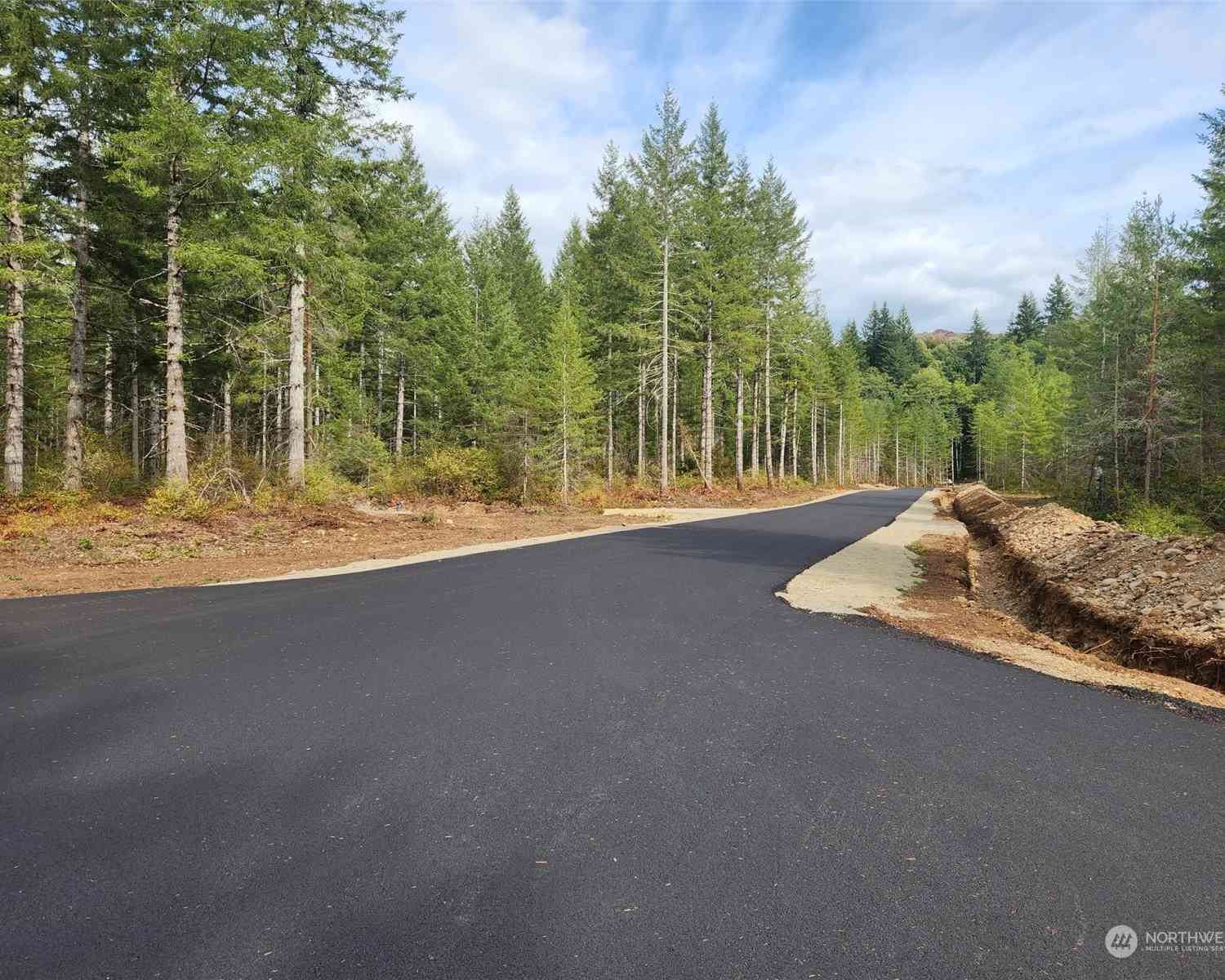 Lot 5 Div 1 Raven Lane, Elma, Washington image 2