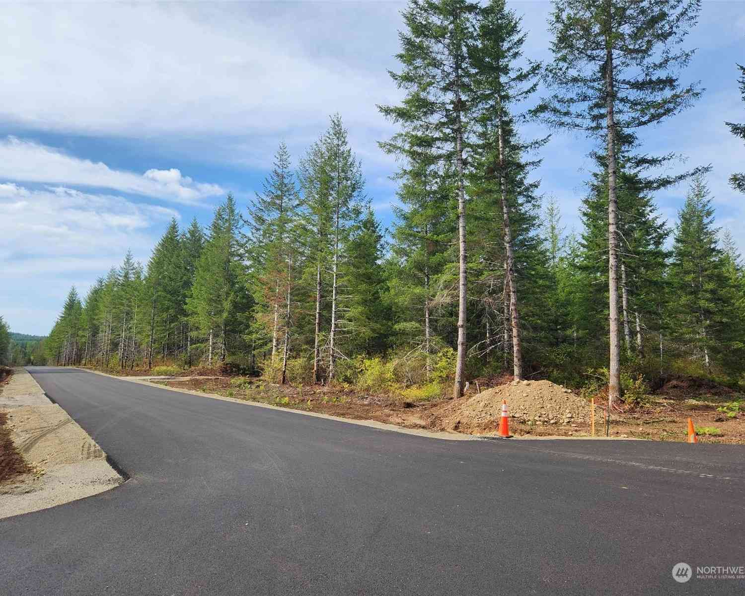 Lot 5 Div 1 Raven Lane, Elma, Washington image 4