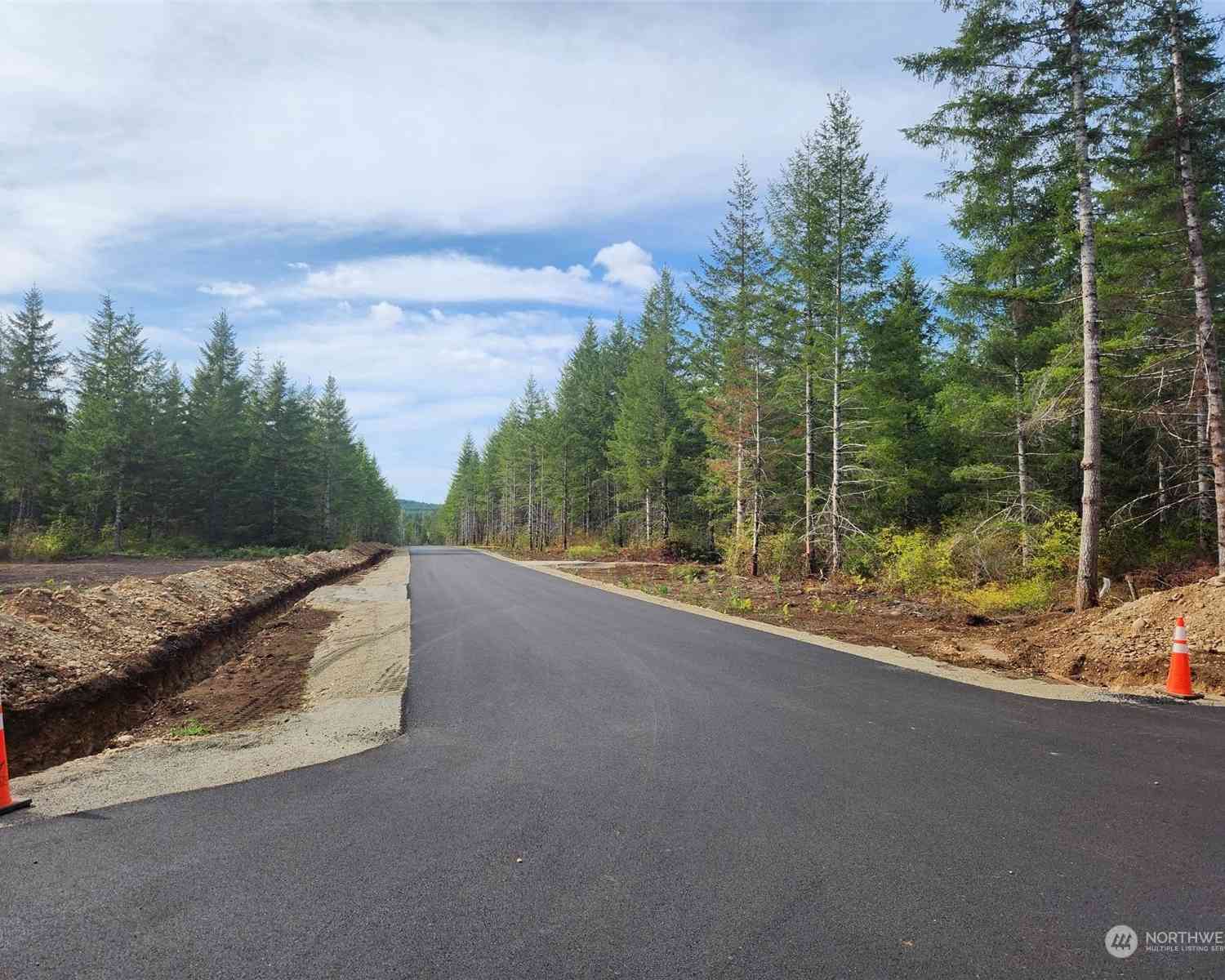 Lot 10 Div 2 Raven Lane, Elma, Washington image 8