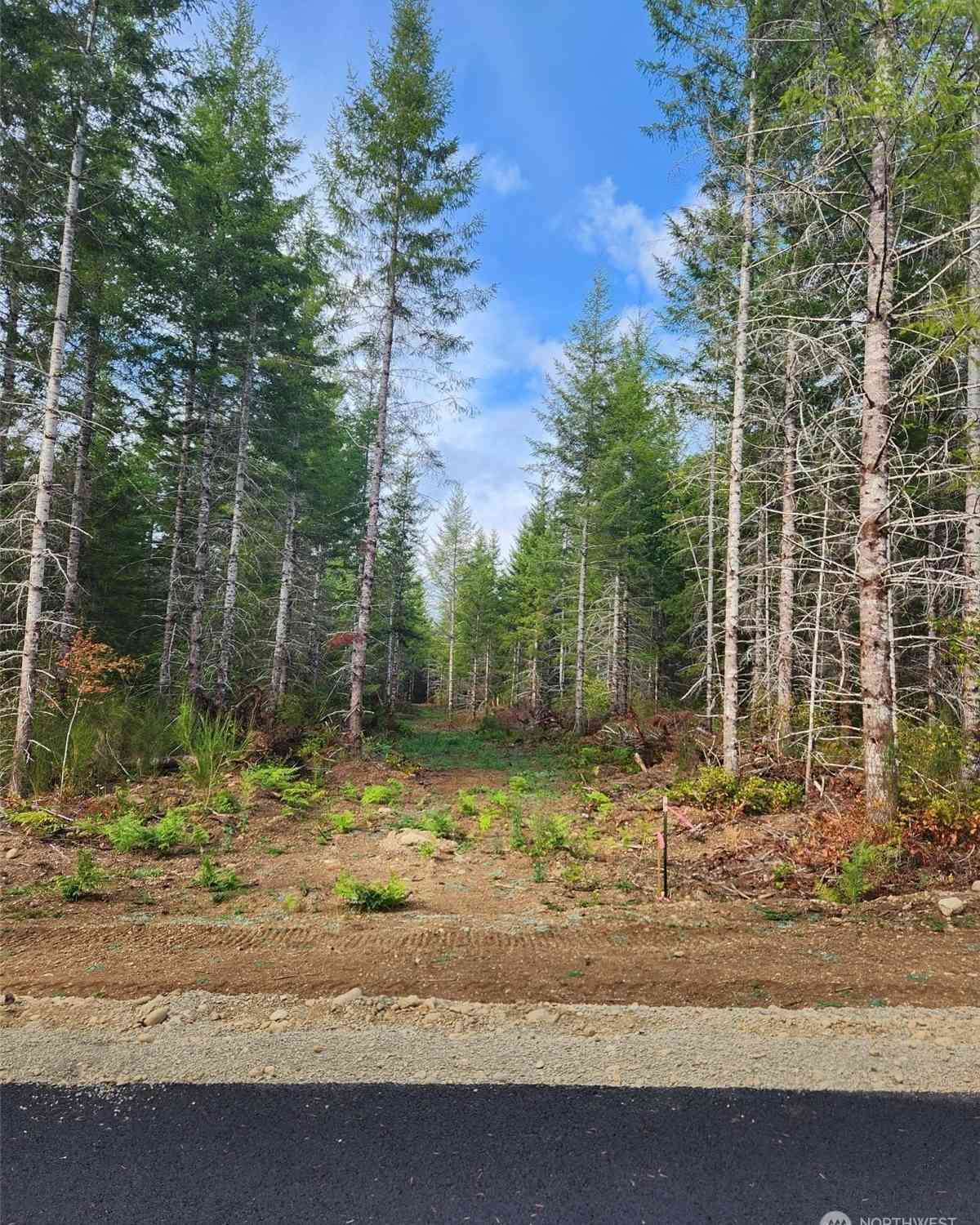 Lot 10 Div 2 Raven Lane, Elma, Washington image 3