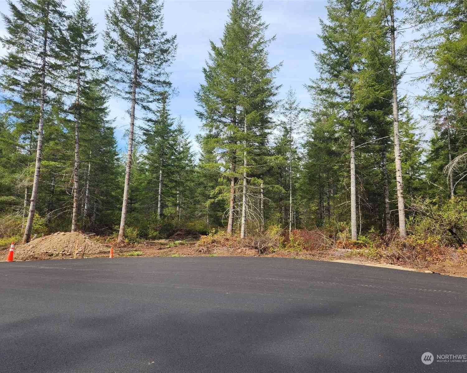 Lot 10 Div 2 Raven Lane, Elma, Washington image 5