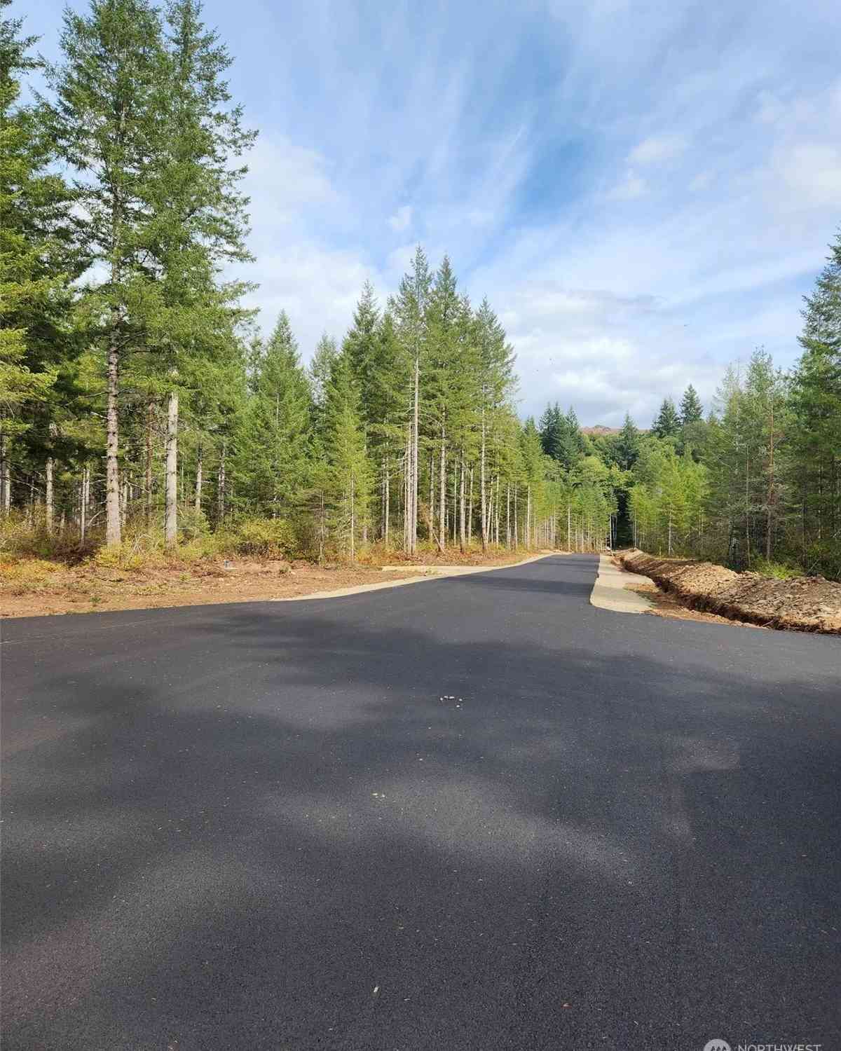 Lot 4 Div 1 Raven Lane, Elma, Washington image 7