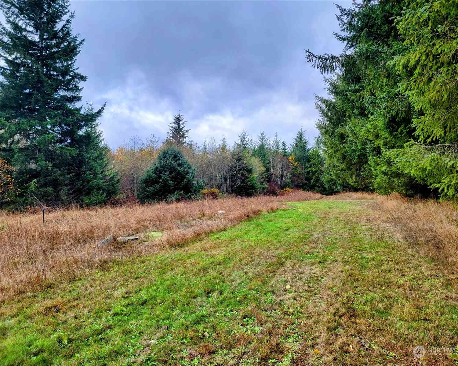 127 Port Crescent Trail, Port Angeles, Washington image 9