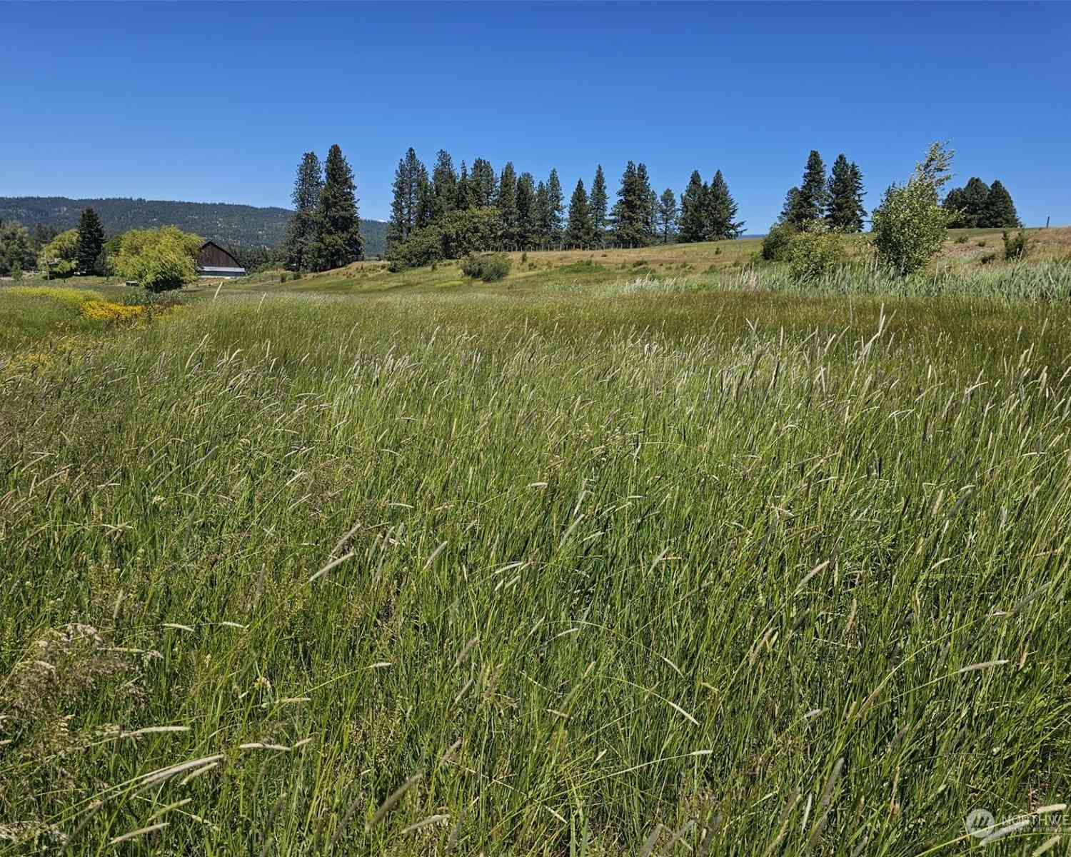 2 Iron Mountain Road, Cle Elum, Washington image 4