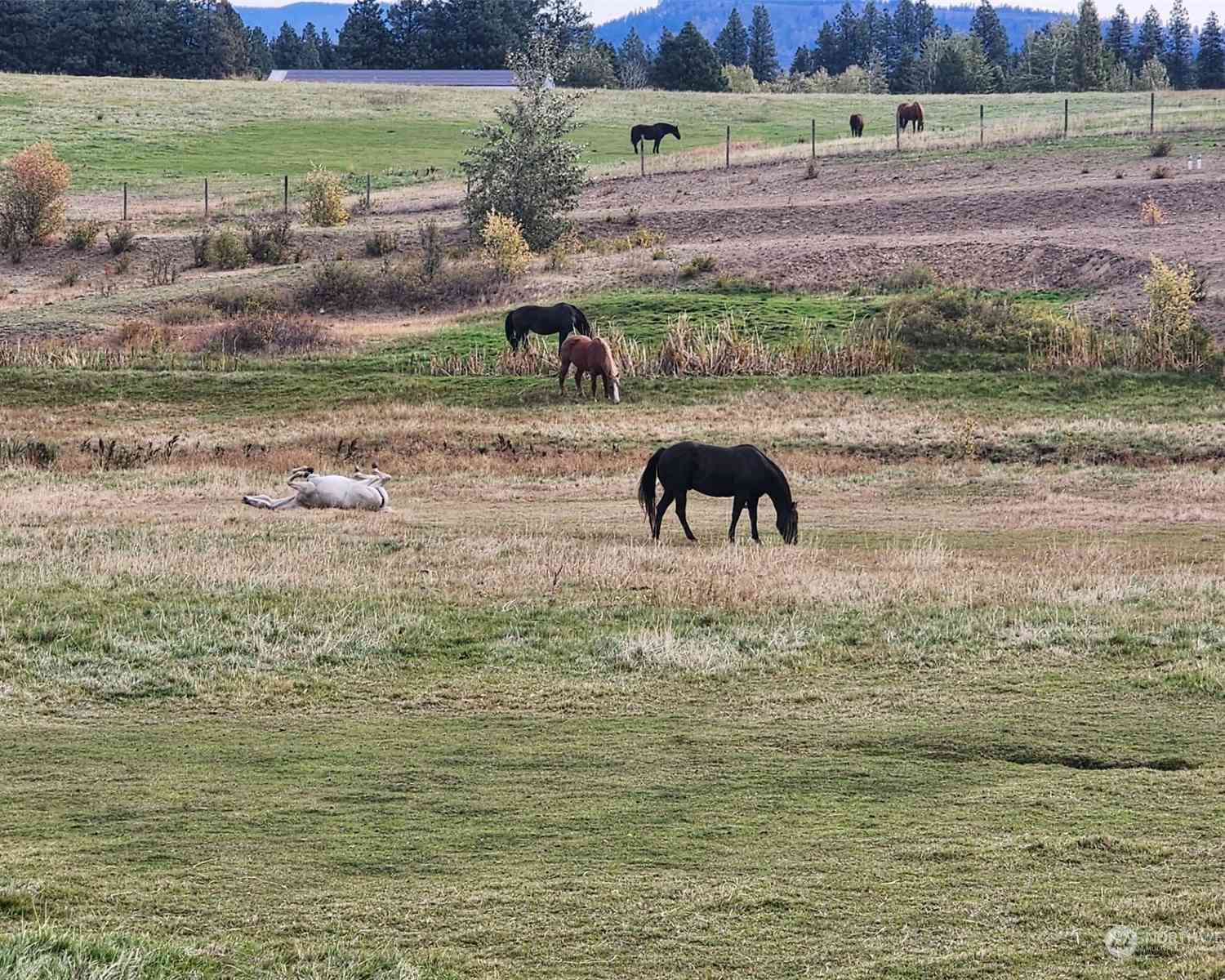 2 Iron Mountain Road, Cle Elum, Washington image 9