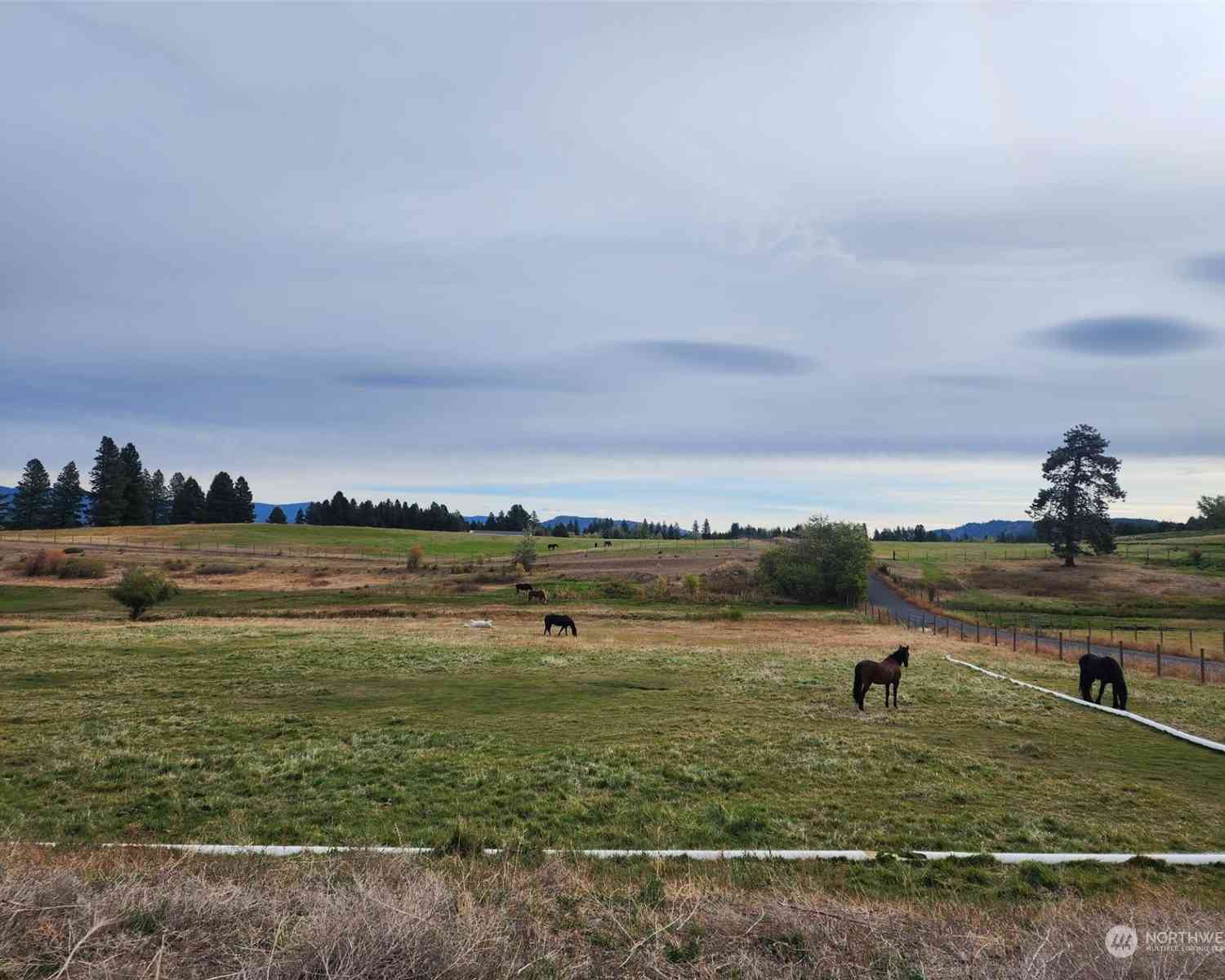 2 Iron Mountain Road, Cle Elum, Washington image 10