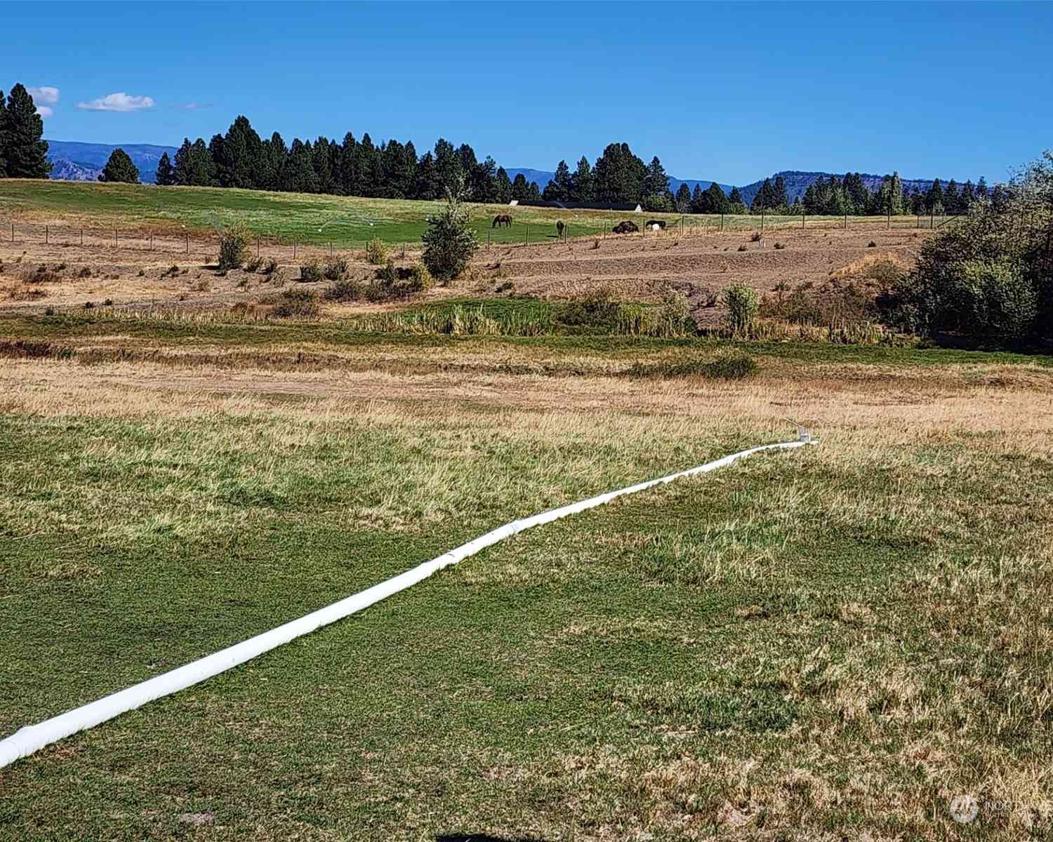 2 Iron Mountain Road, Cle Elum, Washington image 11