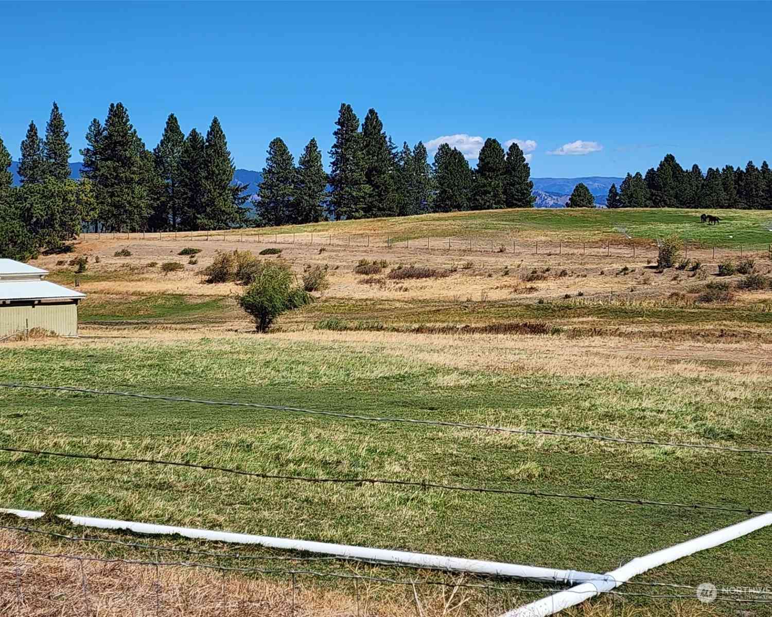 2 Iron Mountain Road, Cle Elum, Washington image 8