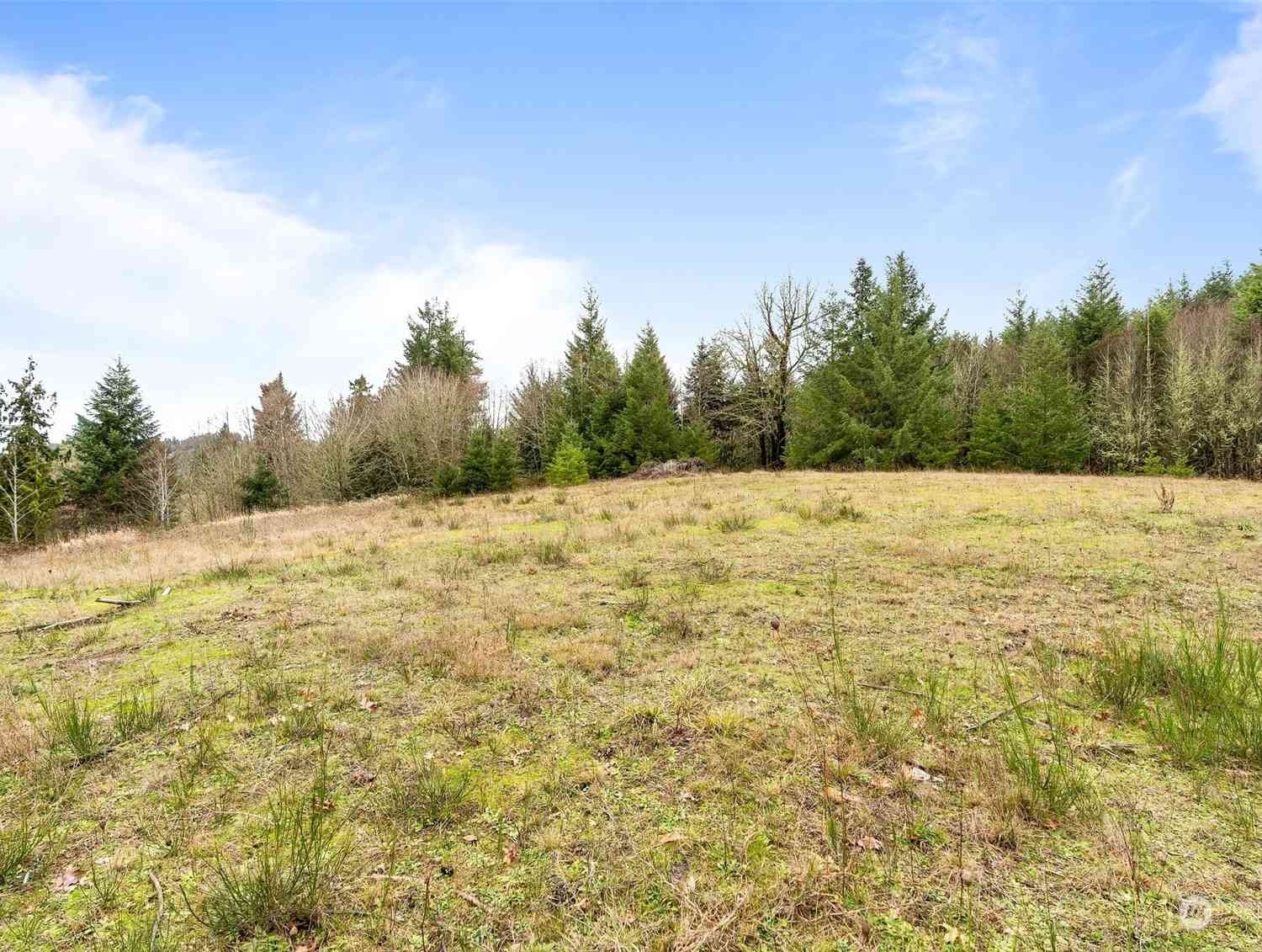 1980 Salzer Creek Drive #LOT 8, Centralia, Washington image 14