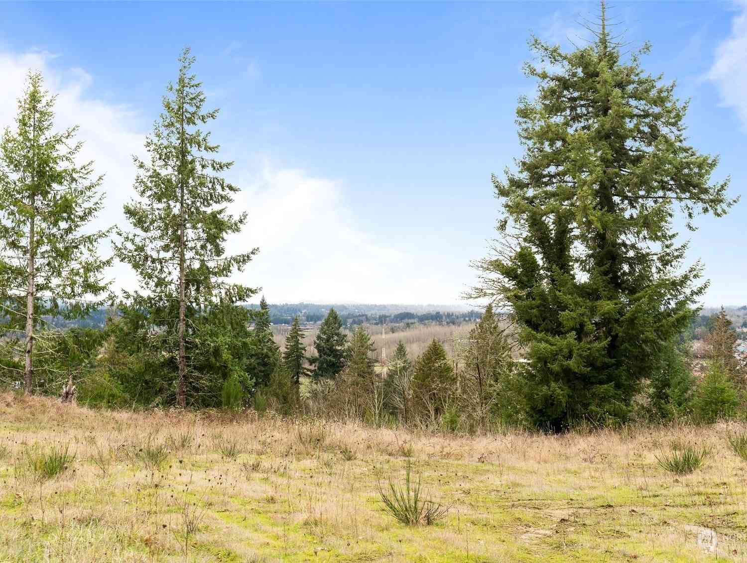 1980 Salzer Creek Drive #LOT 8, Centralia, Washington image 16