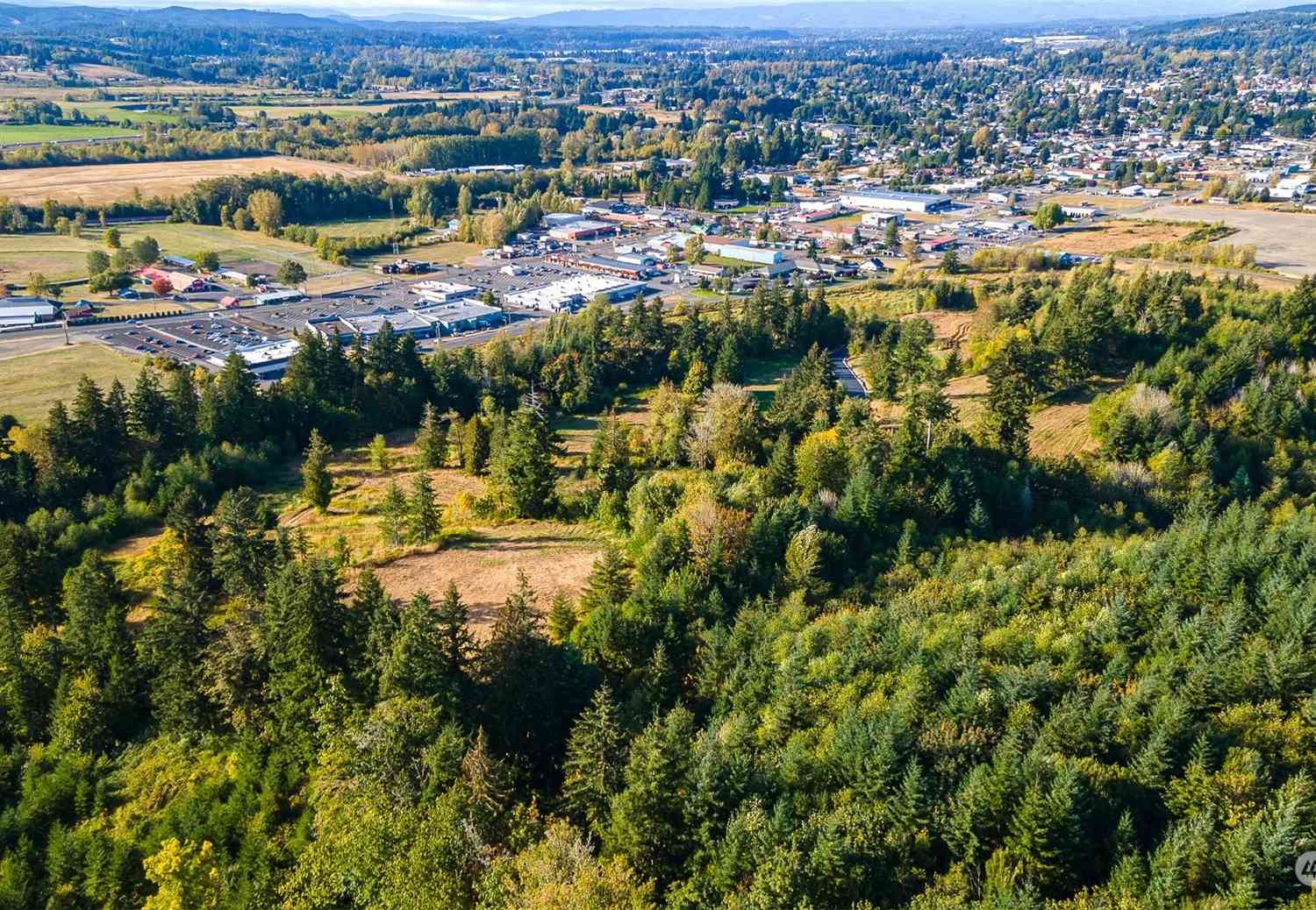 1980 Salzer Creek Drive #LOT 8, Centralia, Washington image 17