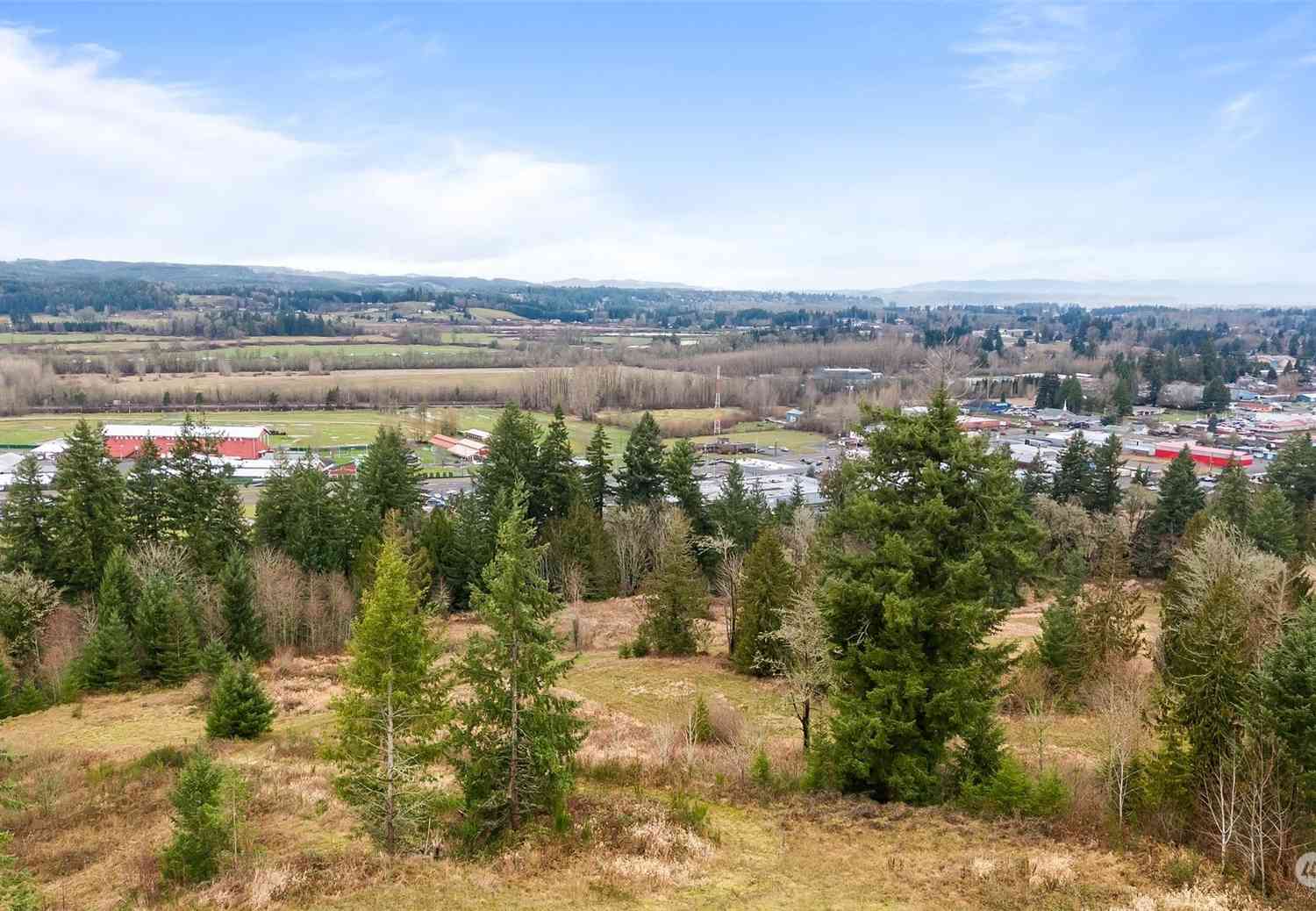 1980 Salzer Creek Drive #LOT 8, Centralia, Washington image 35