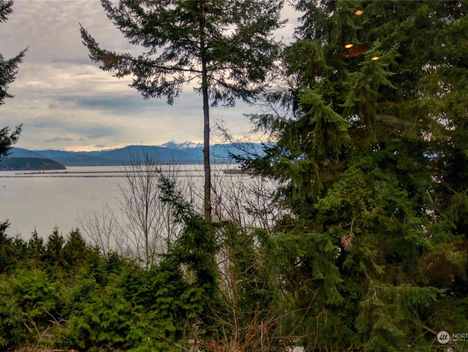 3917 Mallard Point Drive, Anacortes, Washington image 37