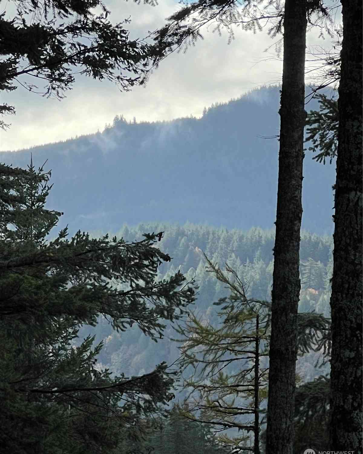 4334 Samish Crest Way, Bellingham, Washington image 16