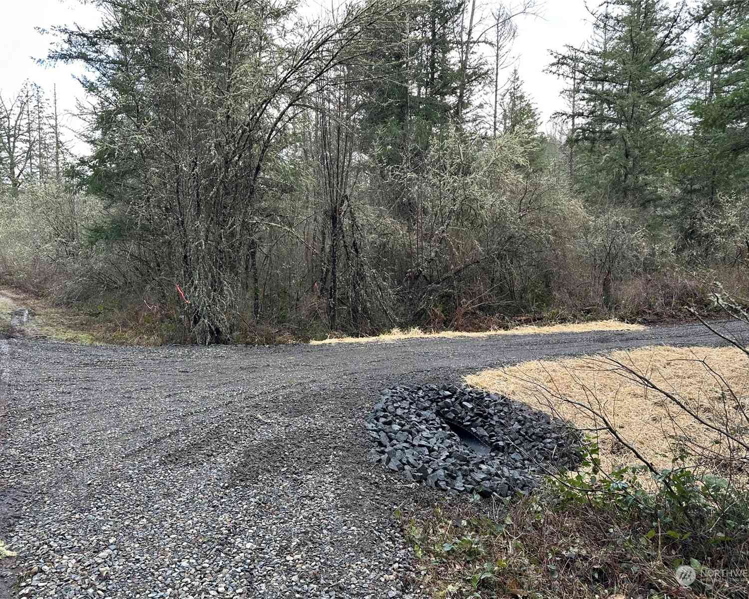 21933 Peissner Road, Yelm, Washington image 9