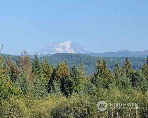 Little Hanaford #B, Centralia, Washington image 3