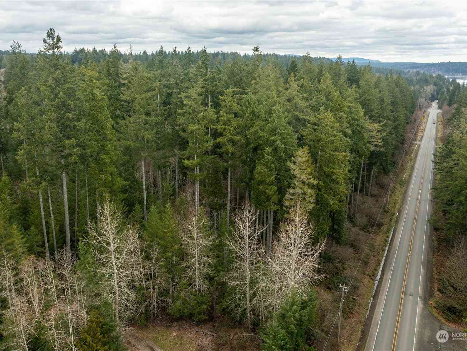 Hwy 3, Allyn, Washington image 15